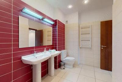 Apartament cu 2 camere decomandat în Ferdinand - 2