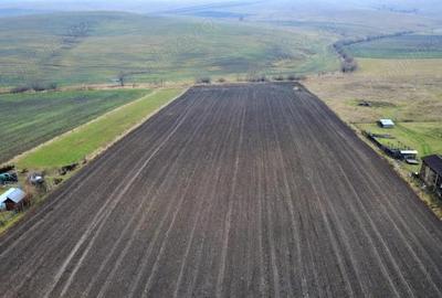 Teren 8.400 mp Negre?ti ideal gospodarie, ferma, natura ?i lini?te - 5