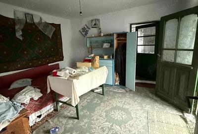 Casa de vanzare + teren 1816 mp in Coteana, Olt, central - 5