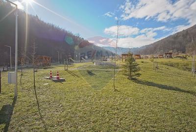 Apartament cu 2 camere decomandat, mobilat în Răcădău - 18