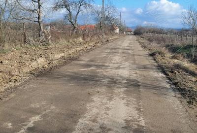 Teren de 2900 mp, în Fârliug - 5