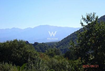 Teren intravilan Cisnadioara, Sibiu - 2