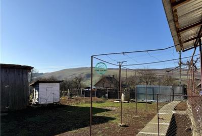 Casa cu teren de 5400 mp intravilan de vanzare, loc. Dileu Vechi - 11