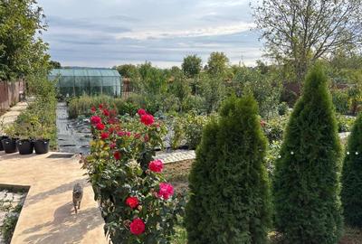 Vand casa jud. Prahova - 7