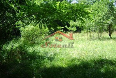 Teren de 1585 mp, în Cornu - 2