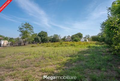 Casă individuală cu 4 camere cu Teren 2106 Mp în Potârnichea - 20