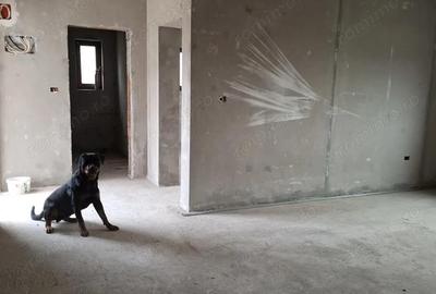 Ocazie!! Sanandrei Casa individuala [GRI ] 4 Camere parter - 2