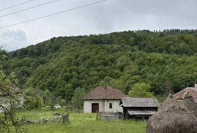Casă cu 2 camere cu Teren 3350 Mp în Munteni - 6