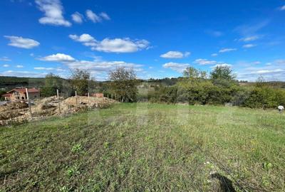 Teren de 5996 mp, în Sânmartin - 3