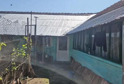 Casă cu 5 camere cu Teren 3937 Mp în Ianca - 9