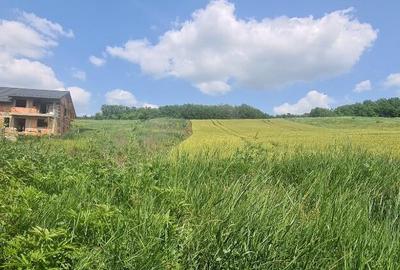 OFERTA* Cladire multifunctionala 200mp cu 2370mp Teren - 4