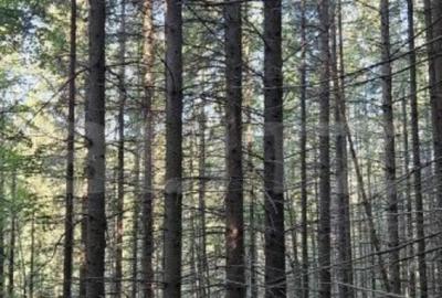 Teren de 17500 mp, în Central - 2