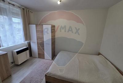 Apartament cu 2 camere semidecomandat, mobilat în Vest - 10
