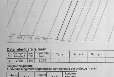 Teren de 2278 mp, în Belinț - 3
