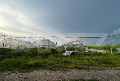 Teren de 23500 mp, în Bucovăț - 6