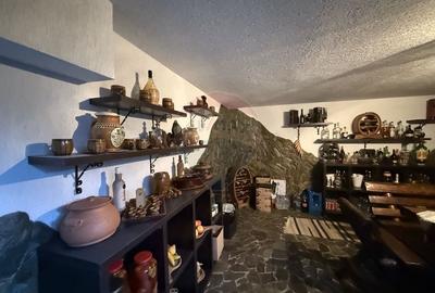 Casa de vacanta la 200m de Dunare - 47