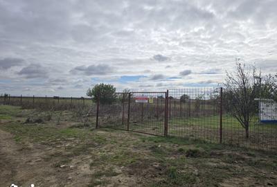 Teren de 51000 mp, în Amzacea - 2
