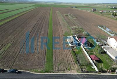 Teren de vanzare, Com. Nicolae Balcescu, Jud. Bacau - 21