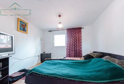 Casa de vacanta cu 4 camere, zona Insula Mure?, Arad - 13