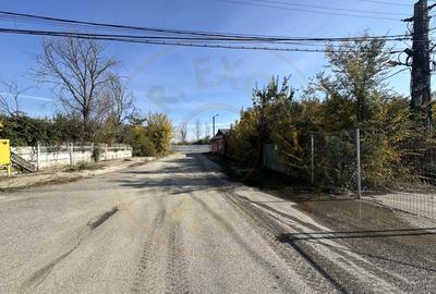 Proprietate industriala(teren + constructii)zona Vama Pitesti/Arpechim - 18