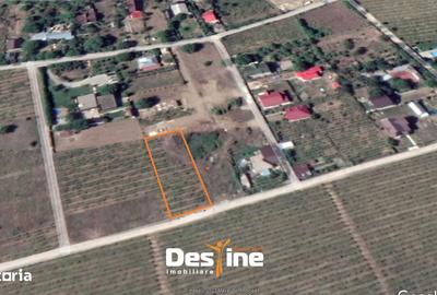 Teren de 974 mp, în Bucium - 11