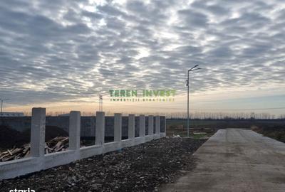 Teren de 500 mp, în Frumușani - 8