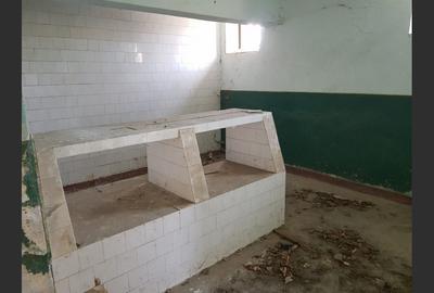 Casă cu 10 camere cu Teren 1800 Mp în Calea Caransebeșului - 10