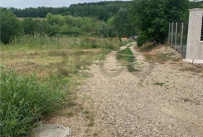 Spațiu comercial, în Paleu - 3