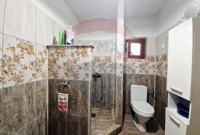 Casa 4 camere, 363 mp teren, Filiasi, - 9