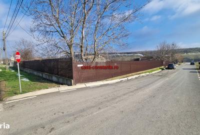 Casă cu 5 camere cu Teren 2660 Mp în Poarta Albă - 1