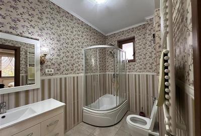 Vila de inchiriat Colentina - 6