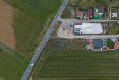 Un lot de casa intrare Sacele 790 mp + 3 loturi de 440mp - 9