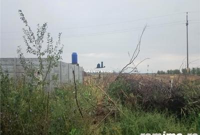 Teren de 5000 mp, în Ciolpani - 1