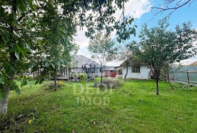 Casa de vanzare si teren de 3000mp in satul Calea Mare, Bihor - 3