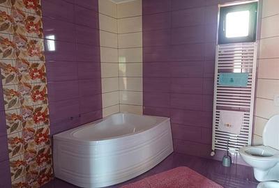 2 Case de vanzare langa liceu in Talmaciu - 9