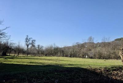 Teren 4.549 mp intravilan, cu posibilitate de parcelare. - 4