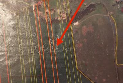 Teren intravilan de 15003 mp, în Săcădat - 3