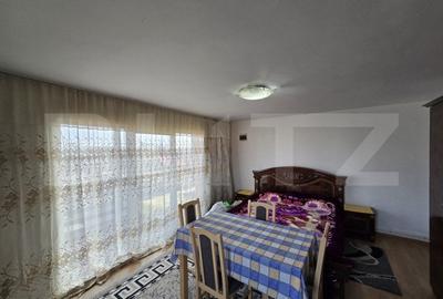Casă individuală cu 9 camere cu Teren 392 Mp în Vest - 7