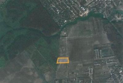 Teren Ostratu-Tamasi // OPORTUNITATE INVESTITII Teren Ostratu-Tamasi // OPORTUNITATE INVESTITII - 4