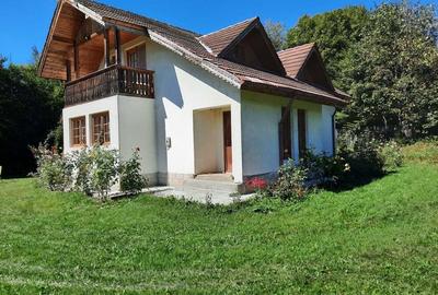 Casa de vacan?a cabana de vanatoare la Soveja, jud. Vrancea - 5