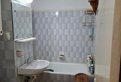 Apartament cu 2 camere semidecomandat în Prundu - 15