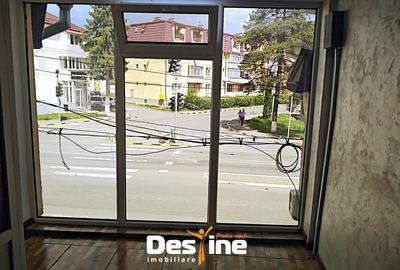 Comision 0% Spatiu Comercial cu vad - Bd. Bucovina-Gura Humorului - 4