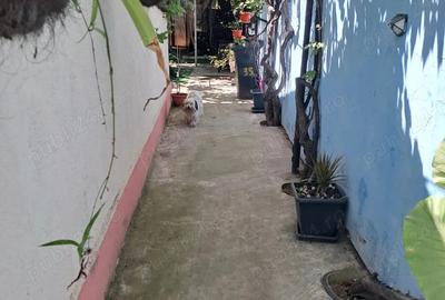 Casa de vanzare Constanta cartier Medeea - 4