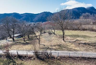 Teren Construcții intravilan de 1260 mp, în Predeluț - 6