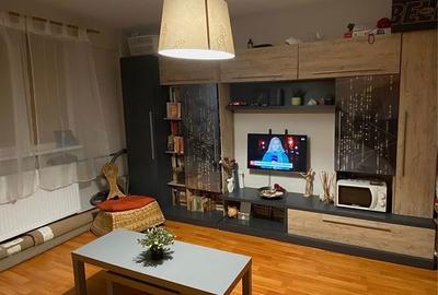 Apartament cu 2 camere semidecomandat în Teiul Doamnei - 6