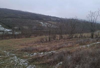 Teren de 12000 mp, în Vladnic - 11