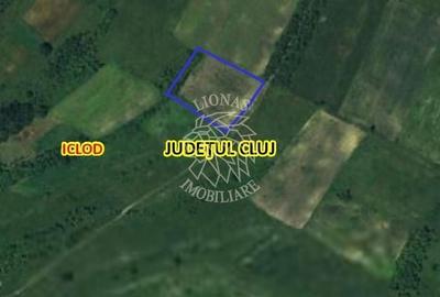 Spațiu comercial, în Livada - 3