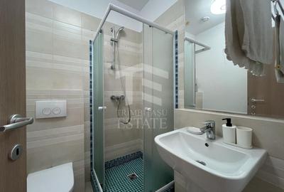 Apartament cu 3 camere semidecomandat, mobilat în DN 1 - 10
