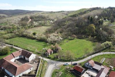 Teren de 3215 mp, în Vărădia de Mureș - 1