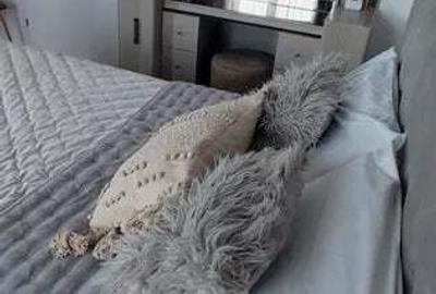 Apartament cu 2 camere semidecomandat în Take Ionescu